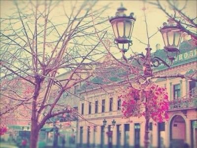 hafidaaax's profile picture. 