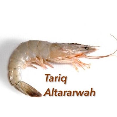 Expert of shrimp farming and fish farming