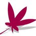 Acer Comms (@acermarketing) Twitter profile photo