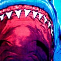 Eli Leishman (@sharkleish) Twitter profile photo