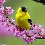 elegarpi's profile picture. leo mi horóscopo
madre e hija de piscis