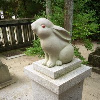 りんご (@h_raspberry) 's Twitter Profile