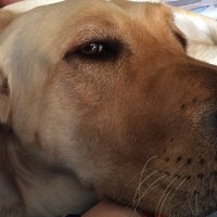 Alanna (@alannavc) 's Twitter Profile