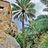 ibrahimarshedi's profile image