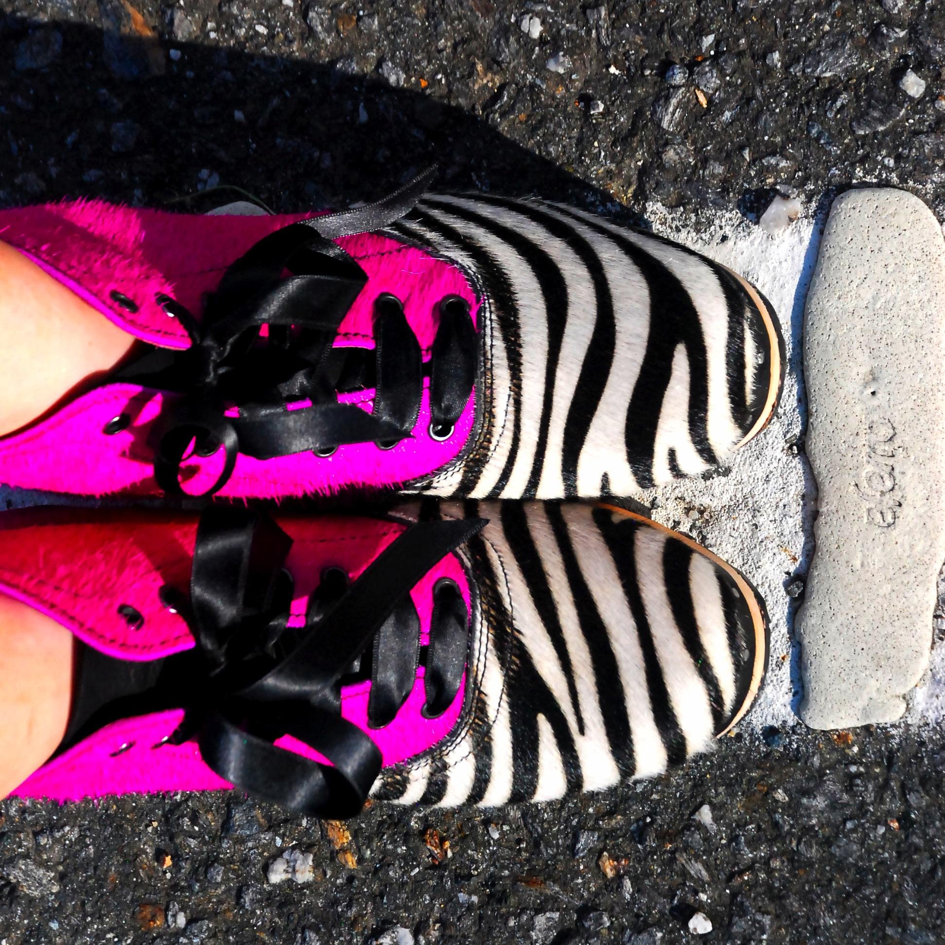 eferrozocos's profile picture. 