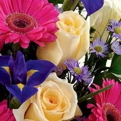 Floristsmumbai offers a wide range of gifts such as flowers ,cakes, chocolates, dry-fruits and much more.