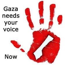 Supporter of all humanity, against occupation, suppression and killing of innocents. Zionists will be blocked. Original account Sam AJ targetted by Zio trolls