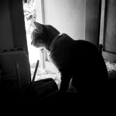 M0UNTAINRAIN's profile picture. โพสต์ 'สภาวธรรม' เป็นหลัก