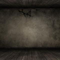 Lang566's profile picture. ')/