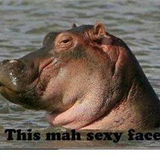 jhughest's profile picture. 