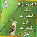 زينه الشهري (@007Zainat) Twitter
