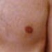 hi Matt's nip here :3