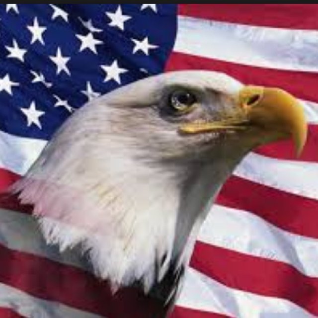 bjpsrepublicans's profile picture. Young Republicans Club at Brebeuf Jesuit — Day 1, 1st PRT