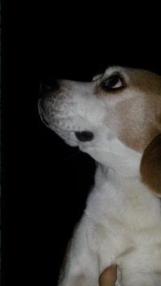 juanpaz109's profile picture. Todo pasa por algo, tanto cosas buenas como malas, el punto es que ninguna e las 2 durará así que