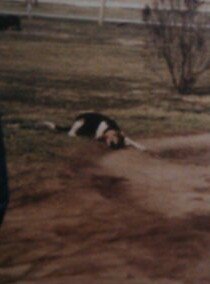 I am who i am and be who i want to be do what i love bouts everyday hunt..its in my blood its who i am a county man..