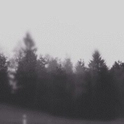 Hey there, pls follow me in my other account @_itsirish. https://t.co/axXTfwpxIa rt this pls