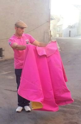aficionado a los toros, los galgos y el flamenkillo..El Pego (zamora)