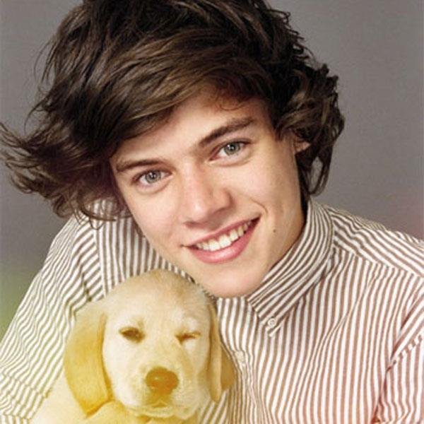Just a boy waiting for Harry Styles to Fuck me!! #LarryStylinson is real, One Direction for life!! Follow me for a follow back :) xx