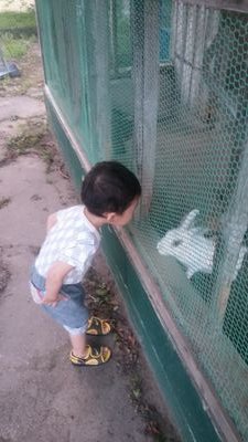 saki20140406's profile picture. 