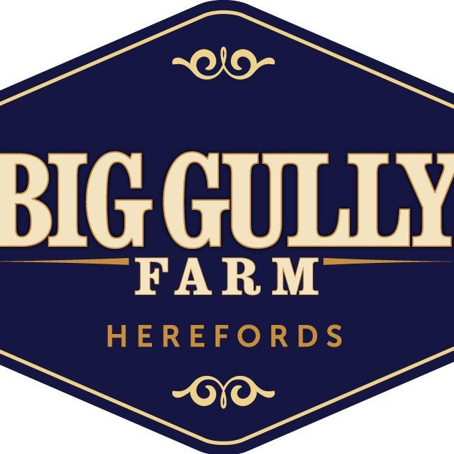 Big Gully Farm is a purebred Hereford farm near Maidstone, SK, Canada.  The farm is owned and operated by the Leachman family.