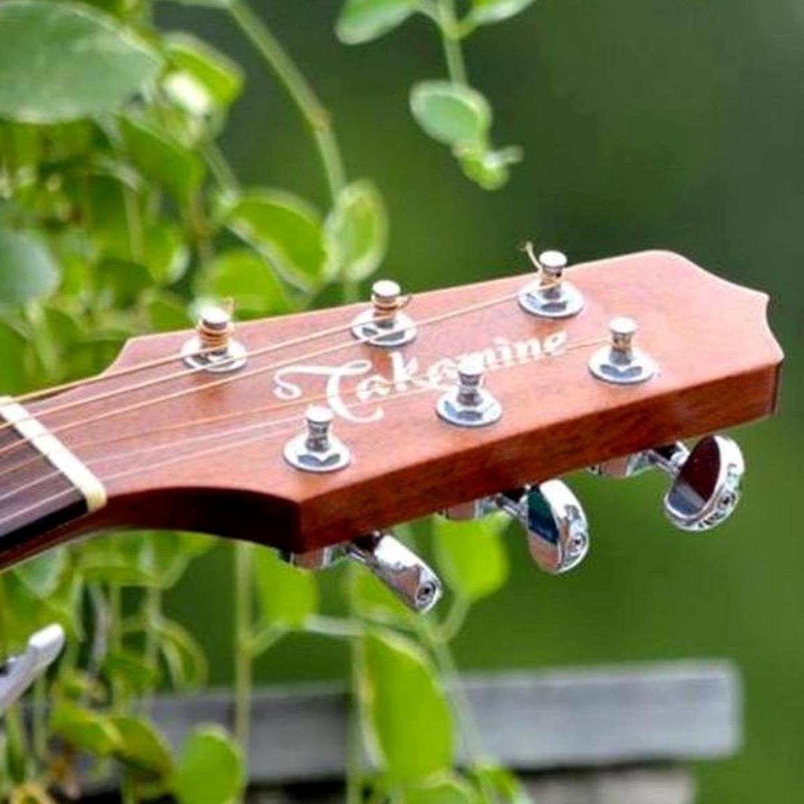 Songwriter, Guitarist, Worship Leader, Camp Director, Bible Teacher, Speaker