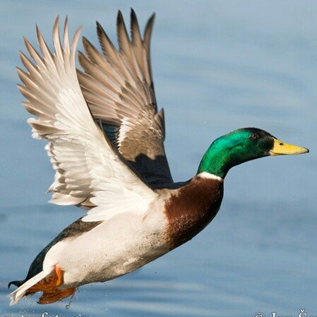 PepitaLlaurado's profile picture. 