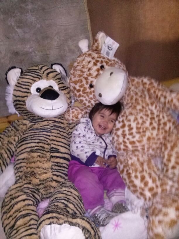 Gastyrom's profile picture. 