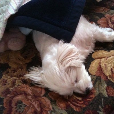 月に2回は記憶を失くします。
