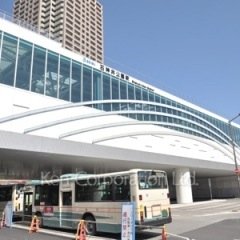 石神井公園のbotがなかったので作りました☆
石神井公園、石神井公園駅・周辺施設、西武池袋線などの情報やあるあるについてTweetしていきます！
フォローお願いします‼︎‼︎