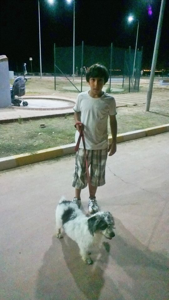 fsahyunlu's profile picture. Köpek manyağı, kola manyağı ,bezbol sever, köpek cinsleri uzmanı