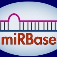 miRBase (@mirbase) 's Twitter Profile