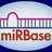 mirbase's profile image