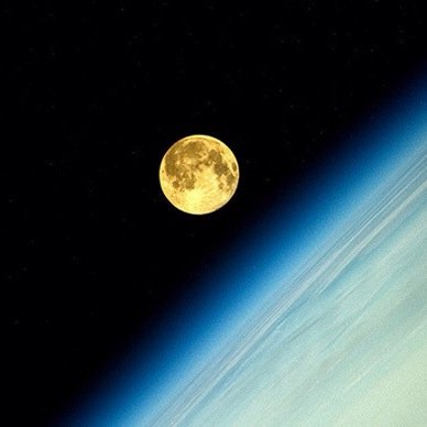 texcalgal's profile picture. 