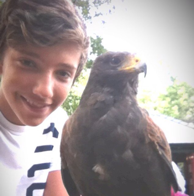 george_rossini1's profile picture. Football