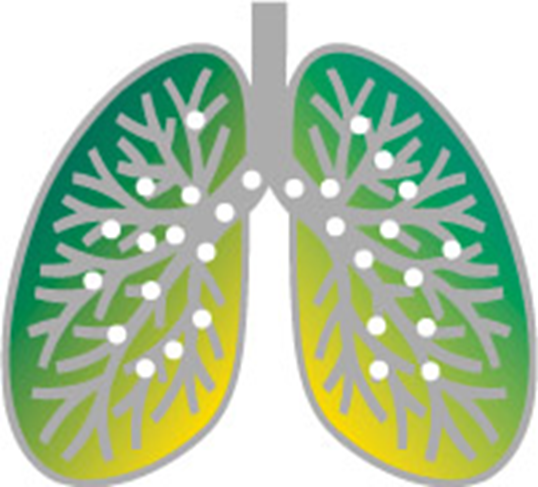 FQColombia's profile picture. Asesoria y Venta de Equipos y dispositivos PARI Fibrosis Quistica, Terapia Respiratoria, Colombia Bogotá Leonardo Caraballo comercial2@medicalmb.com.co