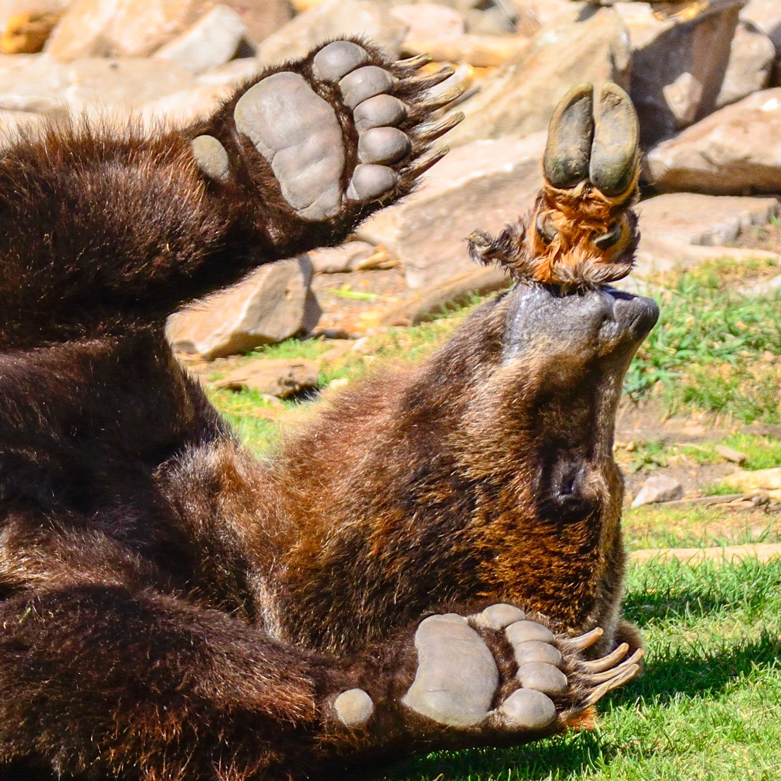 AllenCD1's profile picture. Religion instructor: LDS Church