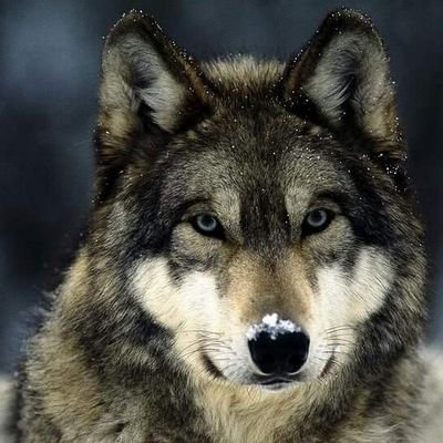ebryldohan's profile picture. Loves God and music like crazy