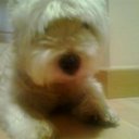 ERIC ROJO AROCA - @aroca_eric - Twitter