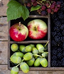 Nours Fresh Food, de wereldkeuken heel dichtbij....