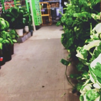 ARayephotograph's profile picture. 