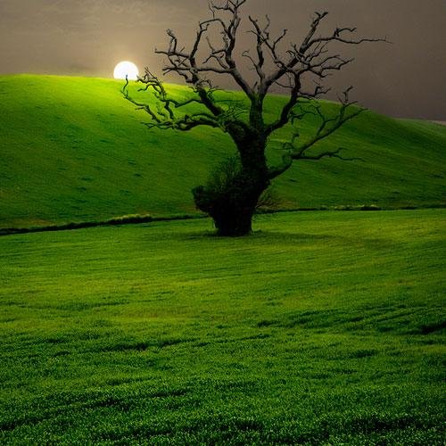 mtumishih's profile picture. 