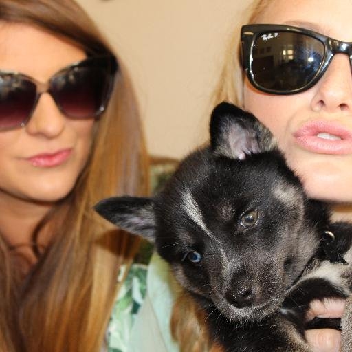 theofficialGAF's profile picture. A satirical sketch comedy webseries set & filmed in Los Angeles; starring youtube sensation Daniellesophia and Soul Surfer/Hawaii 5-0 actress Christie Brooke.