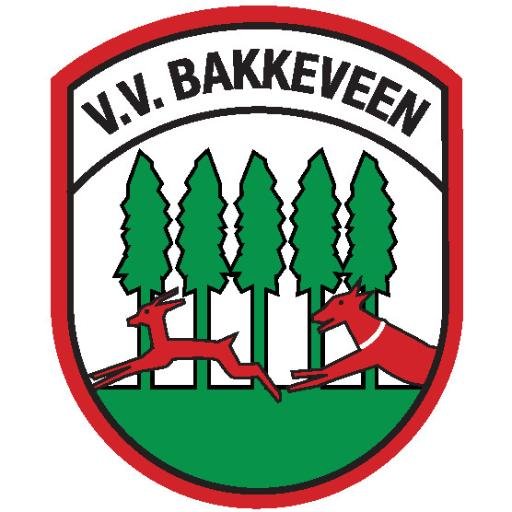 X-account @vvBakkeveen. 
Opgericht 1 juni 1929 
KNVB district Noord
zaterdag 4e klasse D