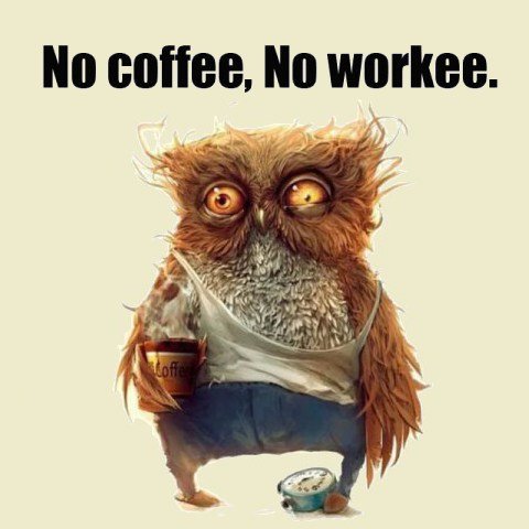 watilson's profile picture. 