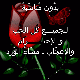 adellaw19's profile picture. 