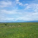 Meghan Frederick - @51eRbhI0wE6e6A5 - Twitter