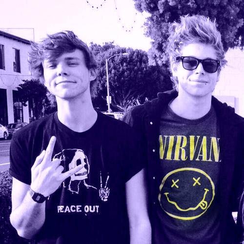 FlamingoForAsh's profile picture. voting acc until monday #vote5sos