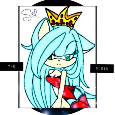 follow @sel_le_hedgie she is the main account