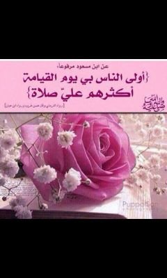 ...(ربي لا تذرني فردا وأنت خير الوارثين)...
