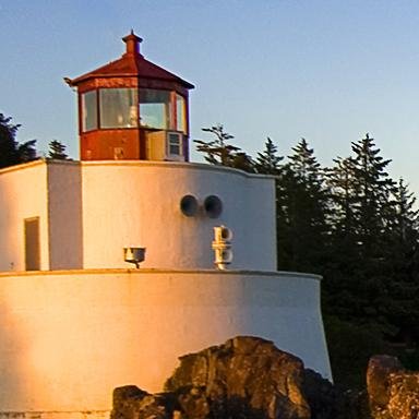 jay_silvia's profile picture. 